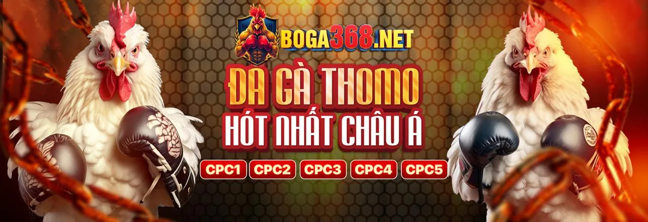 Đối tác 8us games hợp tác và tăng trưởng doanh thu